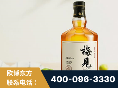 贵港-梅见青梅酒